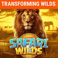 Cara Meraih Cuan Di Safari Wilds !