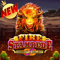 Tips Menang di Slot Online Fire Stampede!