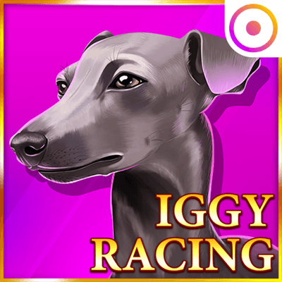 Iggy Racing: Tips Agar Tidak Kehilangan Uang dalam Waktu Santai